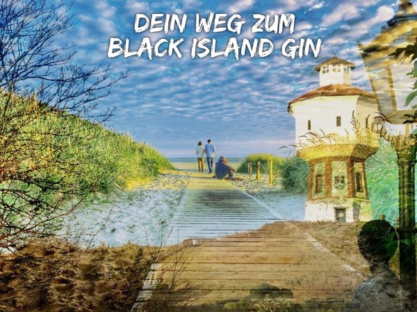 Black Island Gin - 100ml